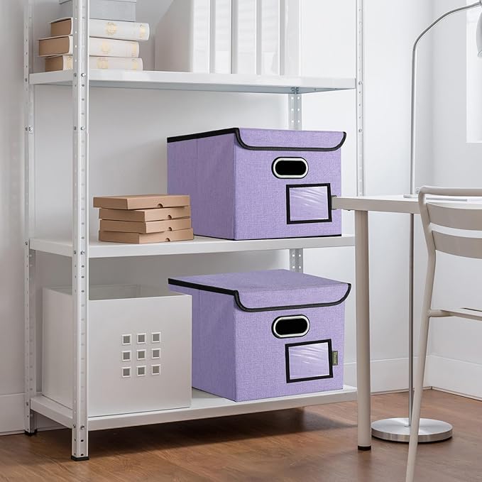 BALEINE File Organizer Box with Lid, Collapsible File Folder Organizer with Plastic Slide, Hanging File Folder Box for Office Document Storage (1 Pack, Purple)