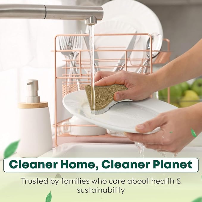 Natural Sponges Kitchen - 6 X-Large Biodegradable Non-Scratch Dish Scrubber, Multipurpose Compostable Sponges for Dishes, Cleaning Scrub Sponge Brush for Dishwashing