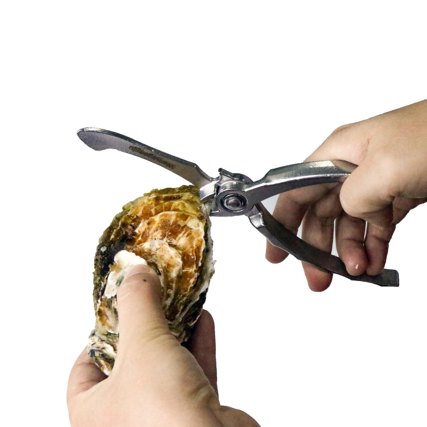 Wenyugongju Oyster Shucking Knife Stainless Steel Oyster Opener Oyster Cutter Seafood Opener for Kitchen Seafood Tool Seafood Opener Kit Tools Gift