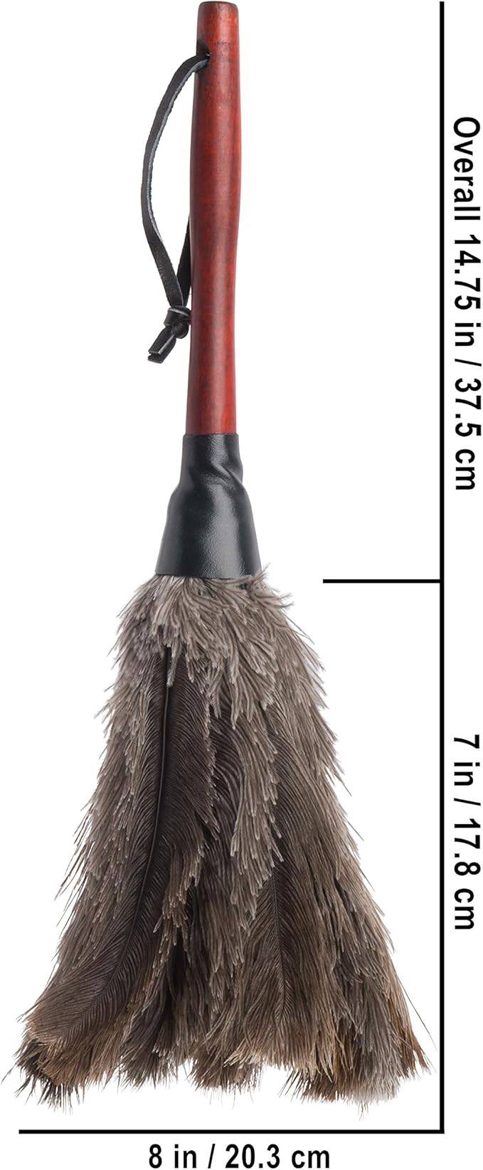 Redecker Ostrich Feather Duster with Varnished Wooden Handle, Small, 13-3/4-Inches