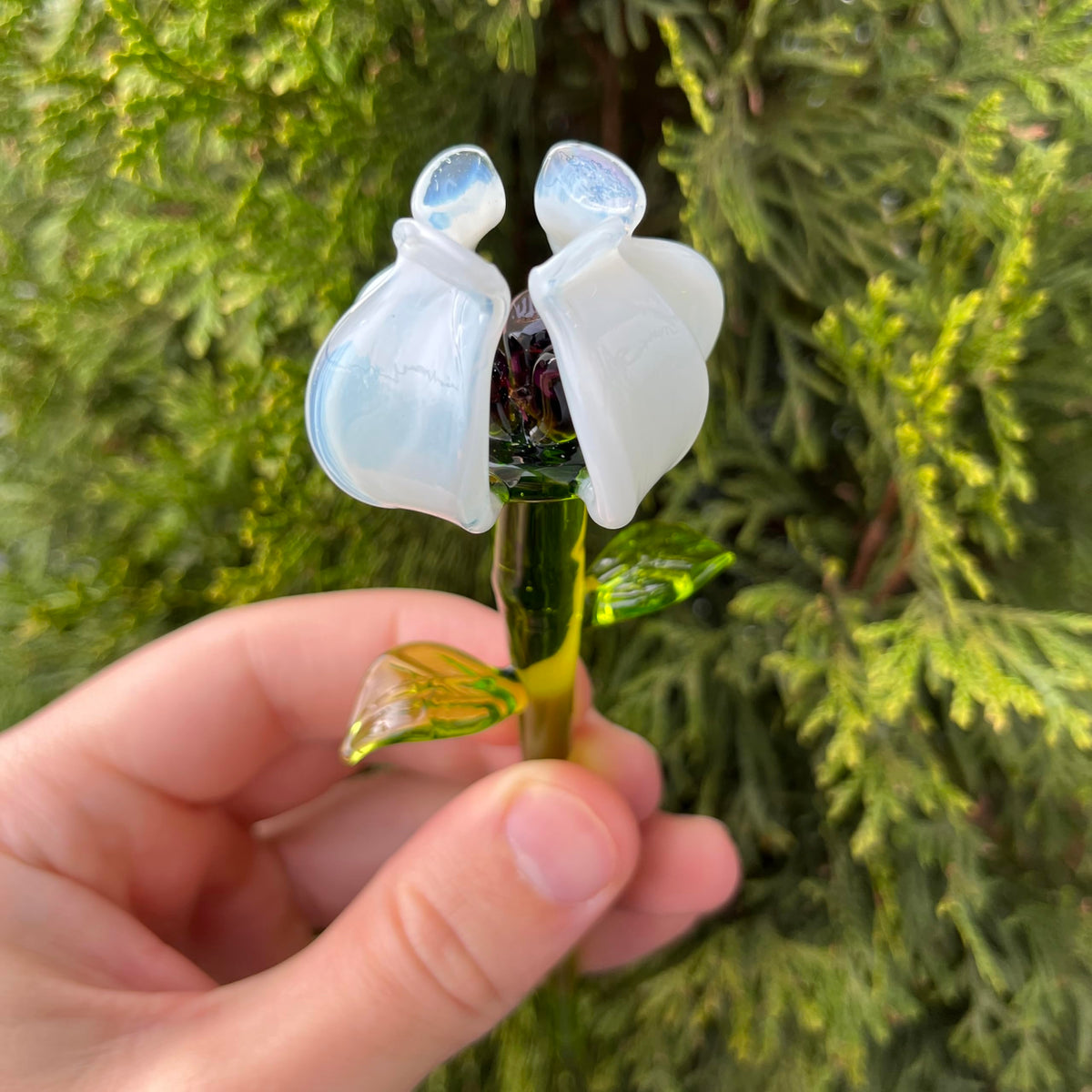 White Tulip Flower Figurine β Hand-Blown Murano-Style Sculpture β Art Tulip Ornament for Vase or Shelf β Gift for Women & Home DΓ©cor