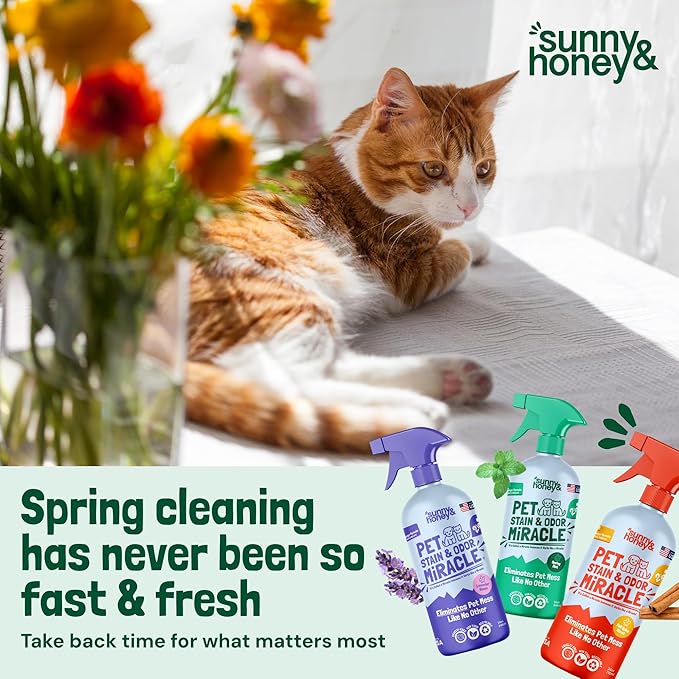 Sunny & Honey Pet Stain & Odor Miracle - 1 Gallon (128 Fl Oz), Spring Mint Scent - Carpet Shampoo, Cat Pee Enzyme Cleaner & Carpet Spot Remover for Upholstery & Mattress