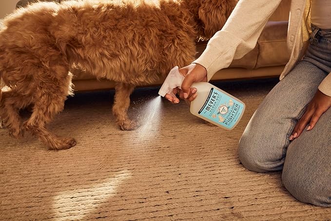 Mrs. MEYER'S CLEAN DAY Pet Stain & Odor Fighter, Coconut Leaf Scent, 16oz