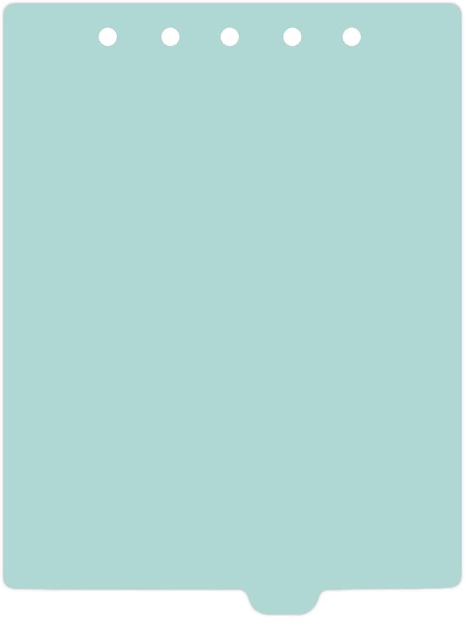 Carstens - Heavy Duty Plastic Ring Binder Dividers, Bottom Tab, 1/9 Cut, Tab 6 Position, US Letter, Aqua, Pack of 10, (2619-15) - Ideal Medical Chart Dividers or Index Tabs for 3 Ring Binders