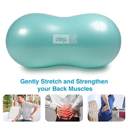 Chirp Cloud Peanut Mobility Ball for The Back, Physical Therapy Massager for Adults, Exercise Balance Ball, Sensory Therapy Toys for Autism & ADHD - 2 Pack (Mint 100x50cm, Black 60x30cm