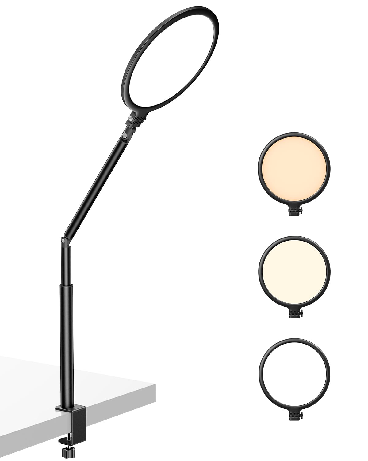 Weilisi 10.2" Desk Ring Light with Stand for Zoom Meetings, Ring Light for Desk with Clamp, 360° Rotate & Flexible Height Video Conference Light, Adjust Arm Desk Lamp Zoom Light for Home Office