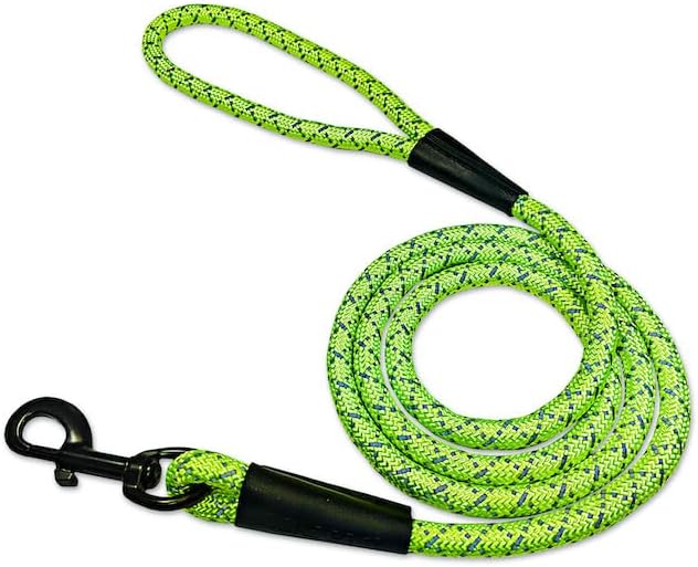 Noxgear LightHound (Small) + High-Visibility Dog Leash – Illuminated and Reflective Harness for Dogs Including Multicolored LED Fiber Optics (USB Rechargeable, Adjustable, Lightweight, Rainproof)