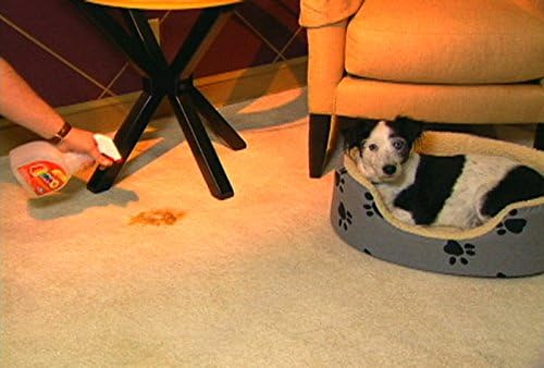 OVERSTOCK ITEM! Quick 10 (Carpet, Clothing, Upholstery & Pet Stain Remover) Includes 2, 32 oz. bottles and 4 powder packets!! Get 2 kits for the price of 1.5!