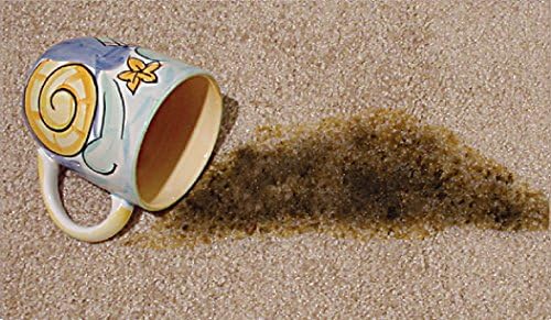 OVERSTOCK ITEM! Quick 10 (Carpet, Clothing, Upholstery & Pet Stain Remover) Includes 2, 32 oz. bottles and 4 powder packets!! Get 2 kits for the price of 1.5!