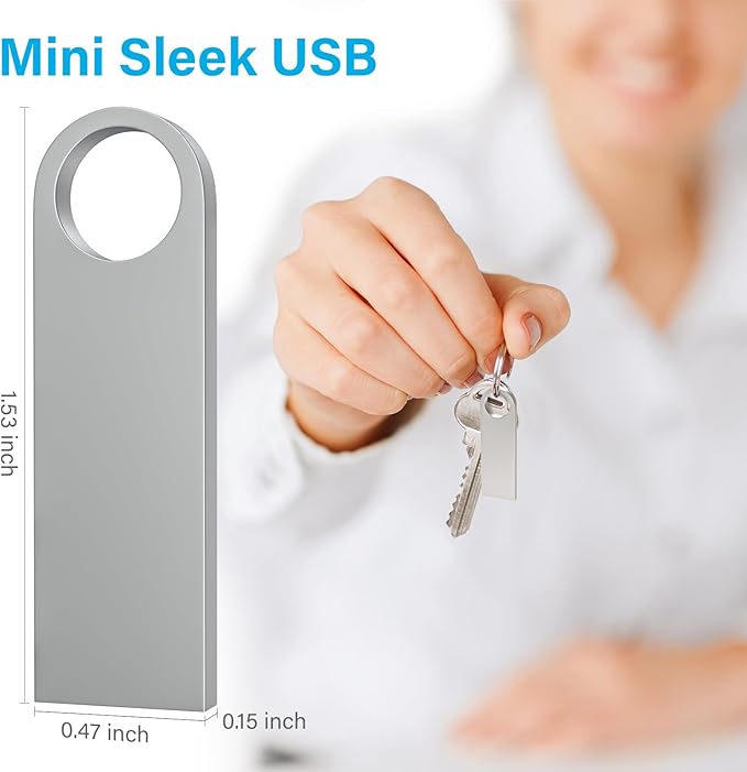 ABLAZE Custom Flash Drive 4GB 10 Pack, Personalized USB with Your Logo Metal Thumb Drives USB 2.0 Memory Stick Pendrive (Sliver)