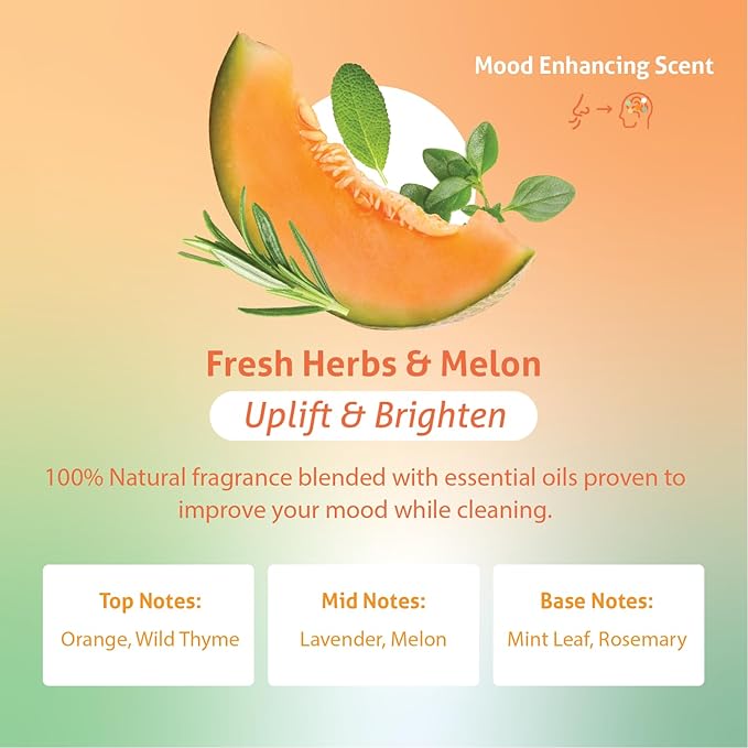Therapy Clean All Purpose Cleaner 24 fl oz (Fresh Herbs & Melon) (6-Pack) - Multi Surface Cleaning Spray, Kitchen Cleaner, Household Multipurpose, Dusting Spray