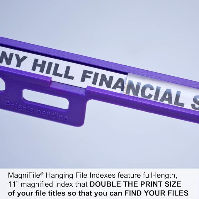 Ultimate Office MagniFile Insertable Hanging File Folder Tabs. Indexes That Double The Size of Your File Titles to Find Files Fast! (Set of 20), Assorted