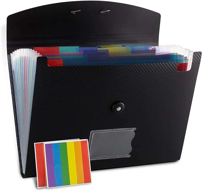 Expanding File Folder, 13 Pockets, Black, Polypropylene