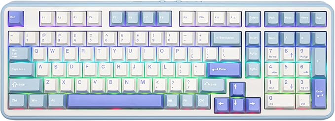 EPOMAKER TH99 Wireless Mechanical Keyboard with Lubed Silent Switch, Quiet Gaming Keyboard, 8000mAh,Creamy Gasket,RGB Backlit,Numpad,PBT Keycap,Hot Swappable,for Gamers/Office (Blue&White)
