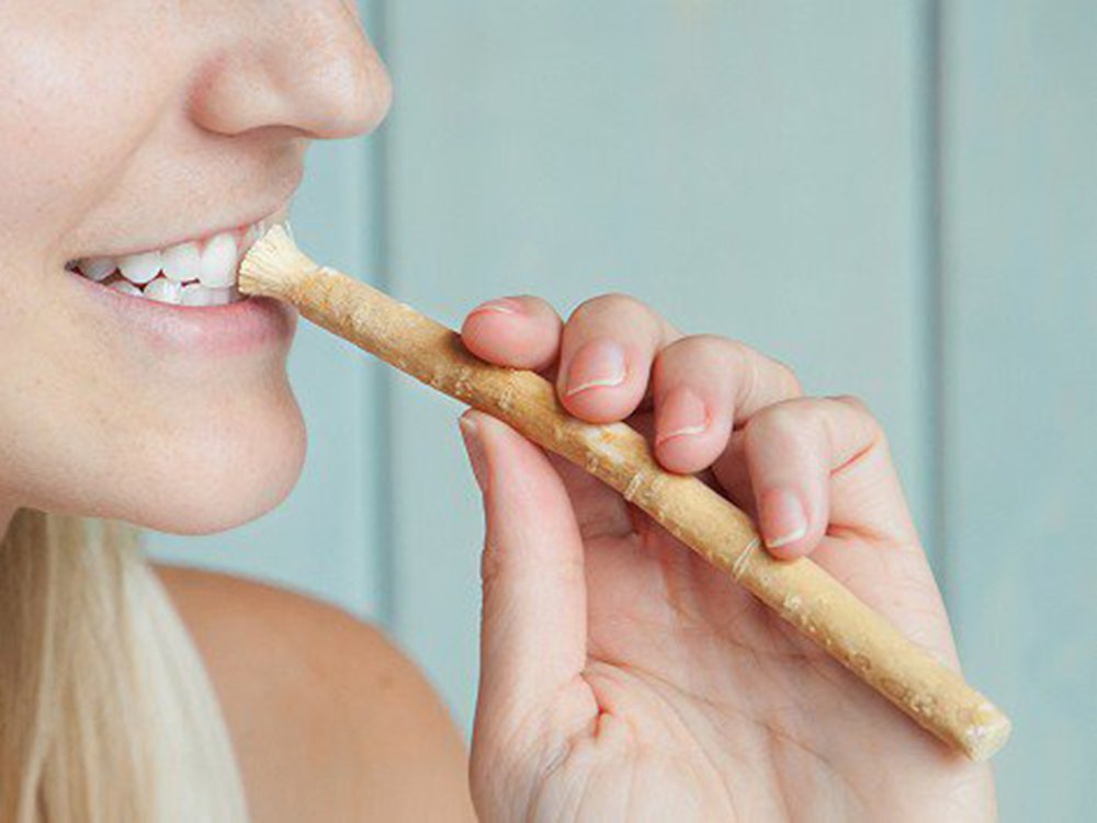 Miswak Club Natural Teeth Whitening Kit/Natural Toothbrush for Whiter Teeth, Fresher Breath, While Being Chemical Free