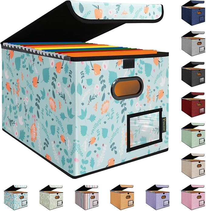 BALEINE File Organizer Box with Lid, Collapsible File Folder Organizer with Plastic Slide, Hanging File Folder Box for Office Document Storage (1 Pack, Spring Stroll)