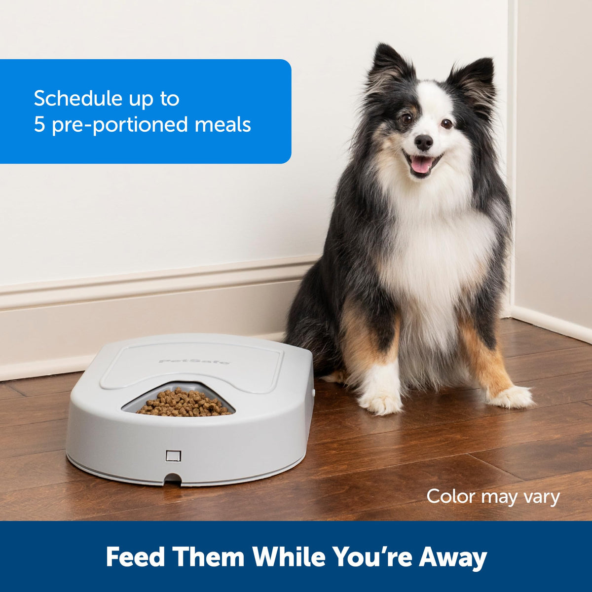 PetSafe Automatic Dog Feeder, 5 Meals, 40 oz Capacity, Plastic, for Dry Food, Multiple Pets