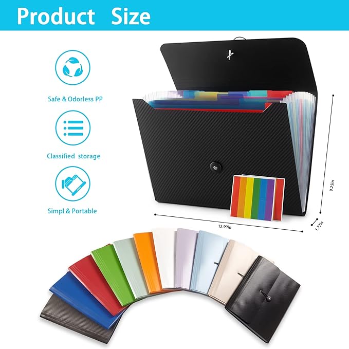 Expanding File Folder, 13 Pockets, Black, Polypropylene