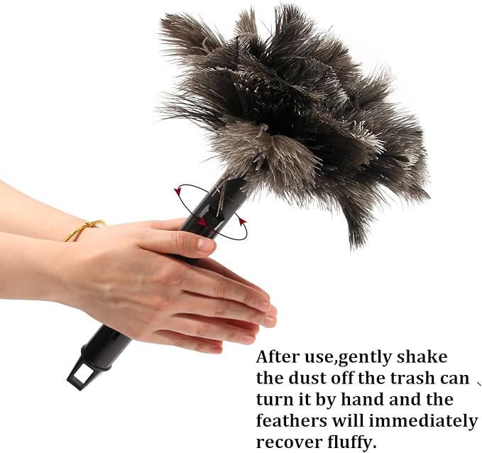 Retractable Ostrich Feather Duster for Cleaning, 15 Inch Fluffy and Natural Feather Duster with Retractable Handle， Reusable Eco-Friendly Handheld Cleaning Supplies (10 pcs)