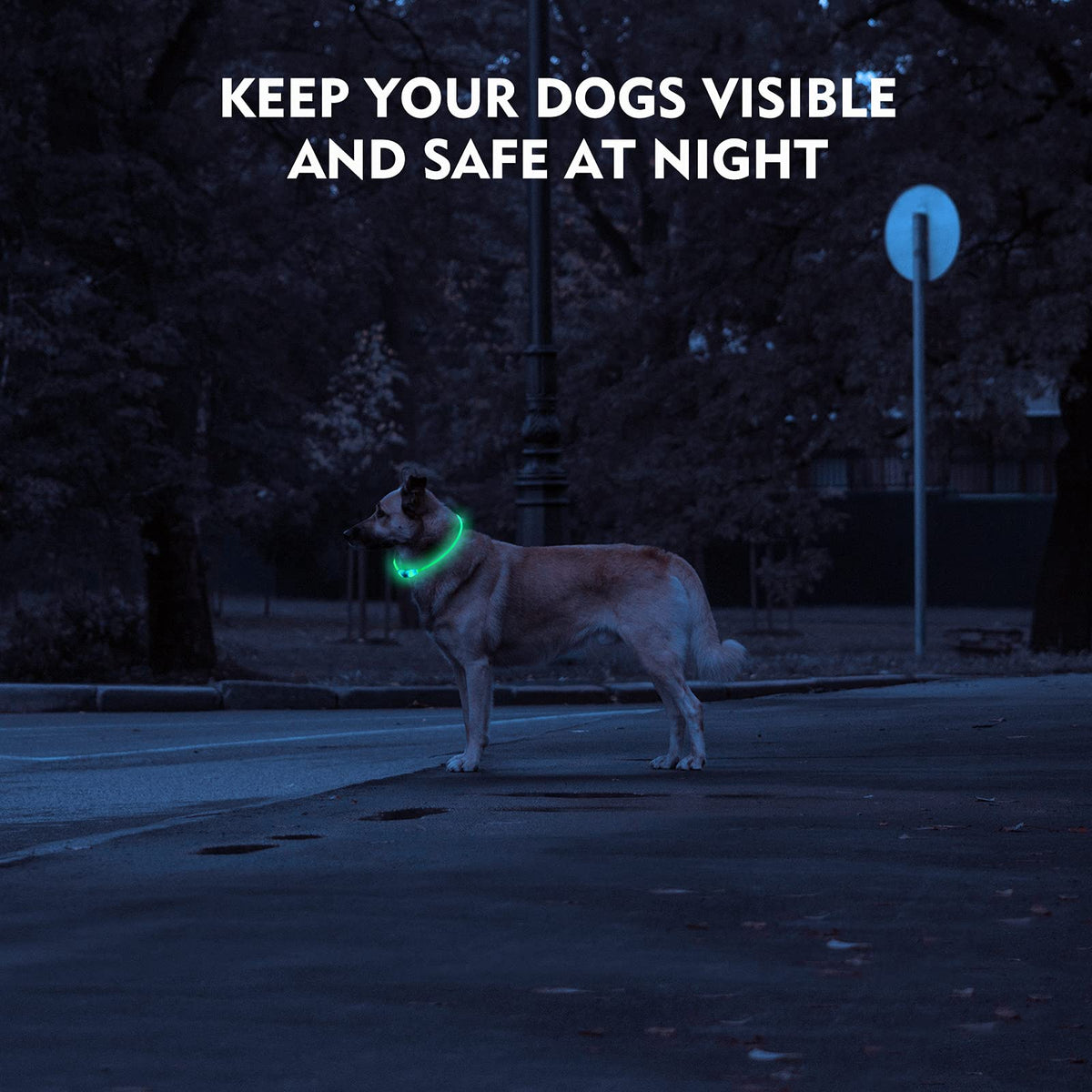 NOVKIN LED Dog Collar, Rechargeable Light Up Dog Collars,IP67 Waterproof Dog Lights for Night Walking，Adjustable, Reusable Safety Necklace for Small Medium Large Dogs (Red)