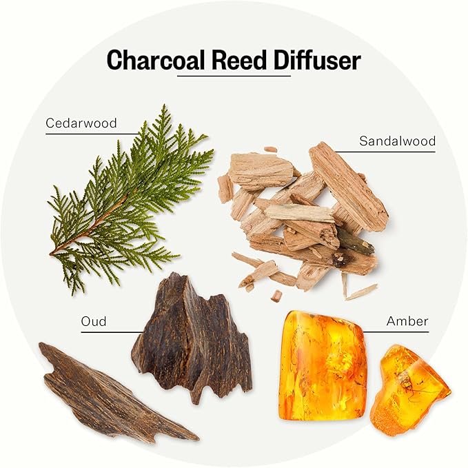 Apotheke Luxury Scented Reed Diffuser for Home, Charcoal - 6.7 Fl Oz Essential Oil Aromatherapy - 10 Rattan Scent Sticks Room Diffuser - Long-Lasting Fragrance for Bedroom, Home, Bathroom