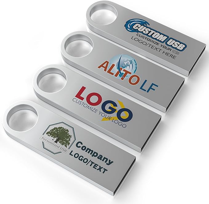 ABLAZE Custom Flash Drive 256MB 10 Pack, Personalized USB with Your Logo Metal Thumb Drives USB 2.0 Memory Stick Pendrive (Sliver)