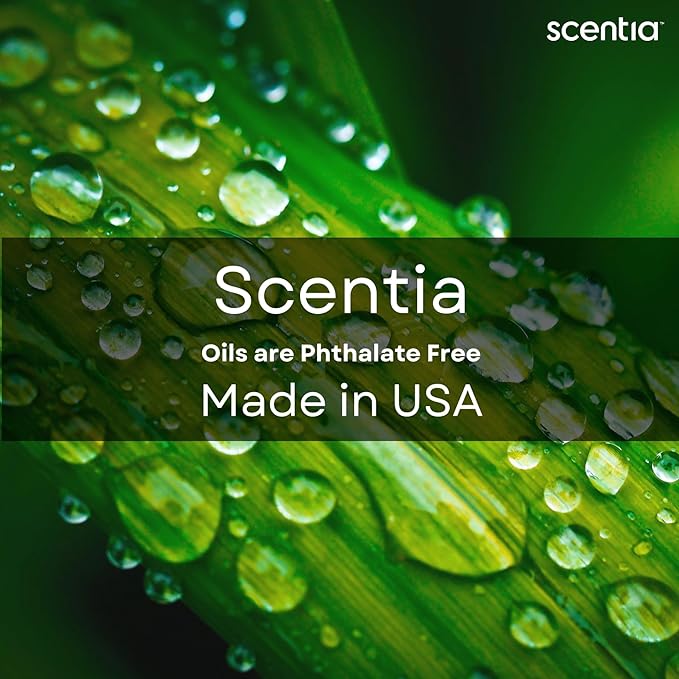 Scentia Hotel Diffuser Oil Inspired by 5-Star Hotel Scent - 120 mL 4.06 fl oz - Essential Oil Blend Botanical Jasmine, Bergamot & Fresh Marine Notes for Aromatherapy Diffusers - Cabana