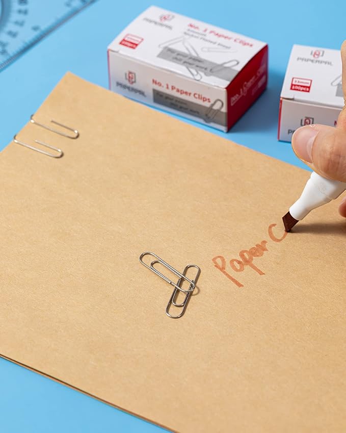 PAPERPAL Paperclips for Office School & Personal Use, #1 Smooth Paper Clip (1-2/7"), 2000 Medium Paper Clips (20 Boxes of 100 Each), Silver