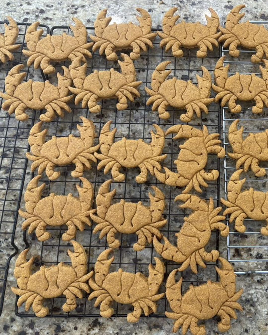 Crab cookie cutter, 1 piece - Bakerlogy
