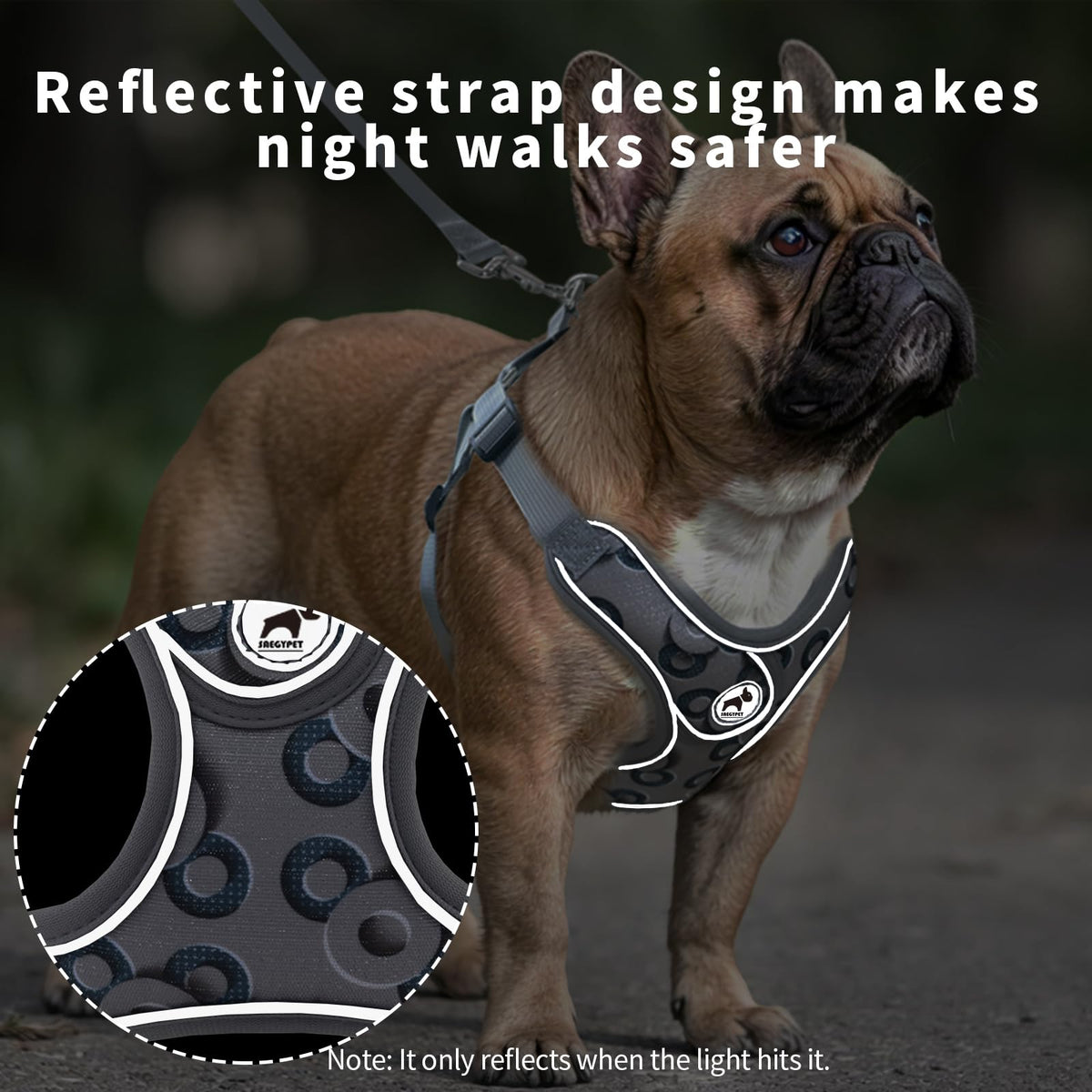 Dog Harness with Leash Set, Reflective Strips Step in with Breathable Padded Vest Harness for Small Dogs Running (S, Gray with Circle)