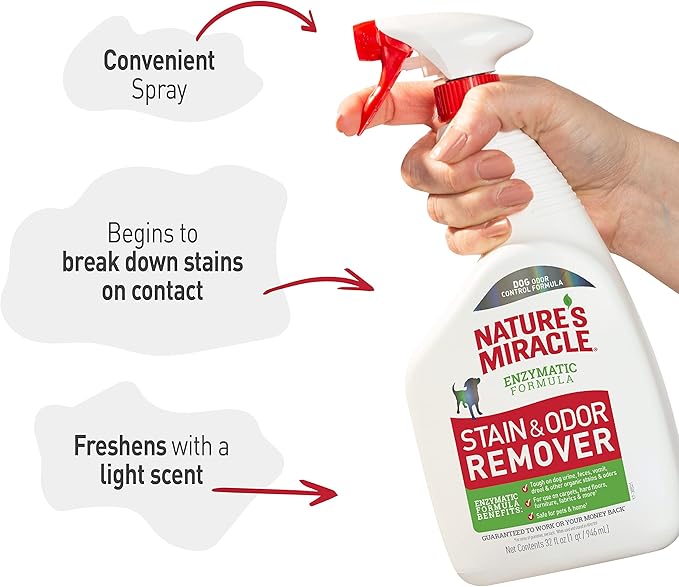 Nature’s Miracle Stain and Odor Remover Dog, 32 Ounces, Everyday Mess Enzymatic Odor Control Formula