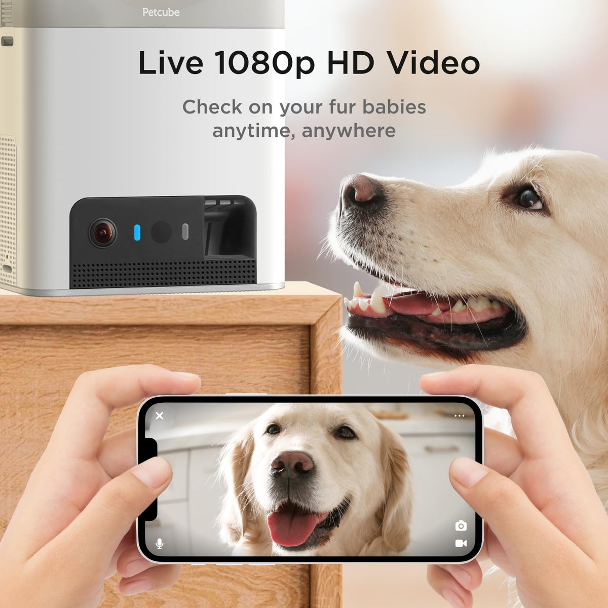 Petcube Bites 2 Lite Interactive WiFi Pet Monitoring Camera with Phone App and Treat Dispenser, 1080p HD Video, Night Vision, Two-Way Audio, Sound and Motion Alerts, Cat and Dog Monitor