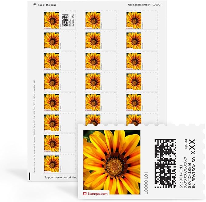 Treasure Flowers NetStamps 120-Pack (5 Sheets) Printable Postage Labels (Stamps.com Subscription Required) - Print Approved Postage - Inkjet & Laser Printers - Business, Personal, Home