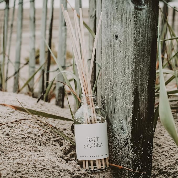 Sweet Water Decor Salt and Sea Reed Diffuser Set - Sea Salt, Citrus, Musk, and Amber Summer Scented Diffuser - Scent Diffusers for Home, Long Lasting Fragrance, Made in The USA