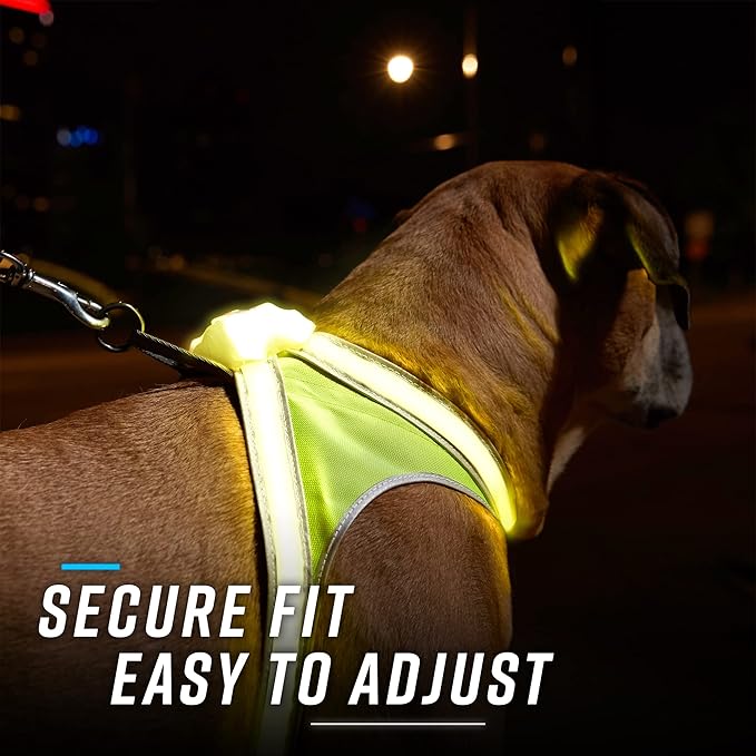 Noxgear LightHound - Revolutionary Illuminated and Reflective Vest for Dogs Including Multicolored LED Fiber Optics (USB Rechargeable, Adjustable, Lightweight, Rainproof) (Medium)