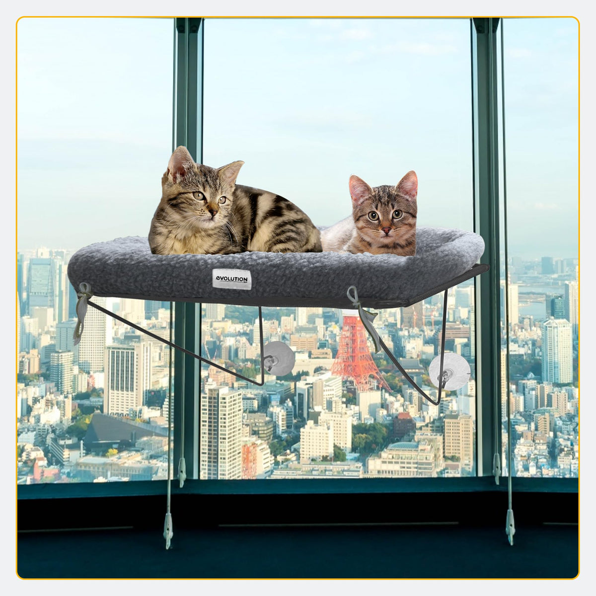 EvolutionUSA Cat Window Perch, Durable Feline Bed, Comfy Perch for 360 Views, Durable Elevated Pet Lounger, Ideal Cat Window Hammock for Large Cats, Heavy Duty, Large Size 24.4x12.6 in