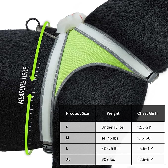 Noxgear LightHound (Large) + Wrist Light – Illuminated and Reflective Harness for Dogs Including Multicolored LED Fiber Optics (USB Rechargeable, Adjustable, Lightweight, Rainproof)