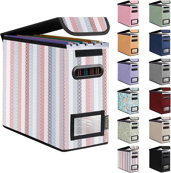 BALEINE File Organizer Box with Lid, Collapsible File Folder Organizer with Plastic Slide, Hanging File Folder Box for Office Document Storage (1 Pack, Color Stripe, S)
