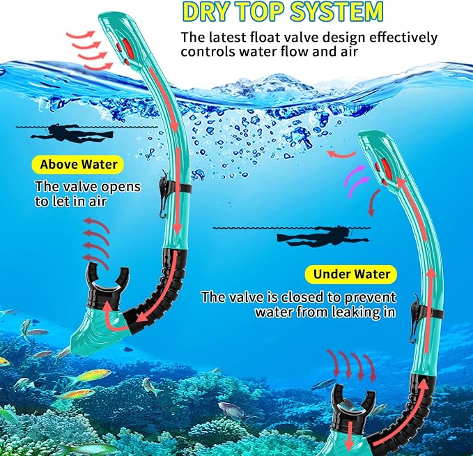 Nearsighted Snorkeling Gear for Adults Youth, Professional Shortsighted Full Dry Top Silicone Snorkel Set, Anti-Fog Diving Mask with Detachable Camera Mount for Scuba Diving, Spearfishing, Freediving