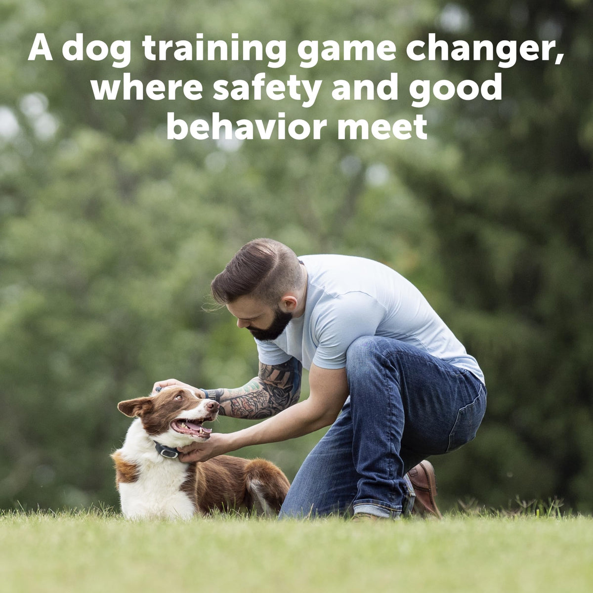 PetSafe Remote Trainer Dog Training Collar - 3 Training Modes: Tone, Vibration, 15 Levels of Static Stimulation, Standard for Dogs Over 8lb+ - Waterproof, Durable, Rechargeable - 100 Yards (300 Feet)