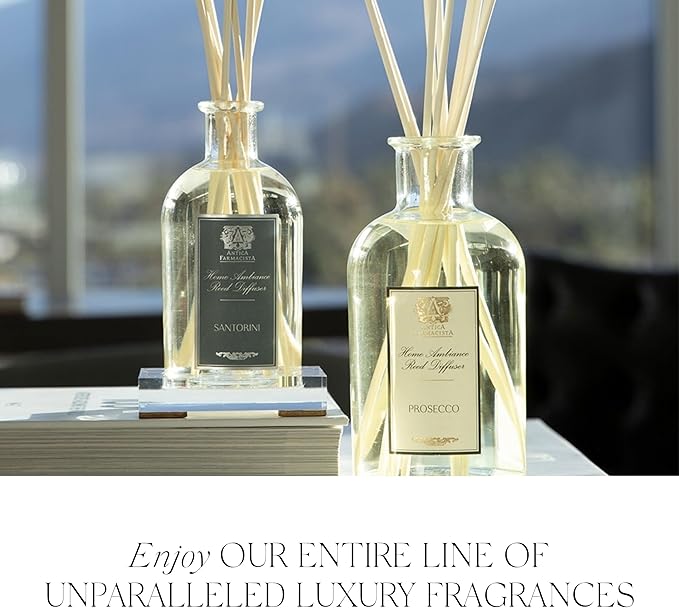 Antica Farmacista Home Ambiance Diffuser - Long-Lasting Reed Scent Diffuser - Luxury Room Freshener Gift - Tarmac, 10.8 fl oz