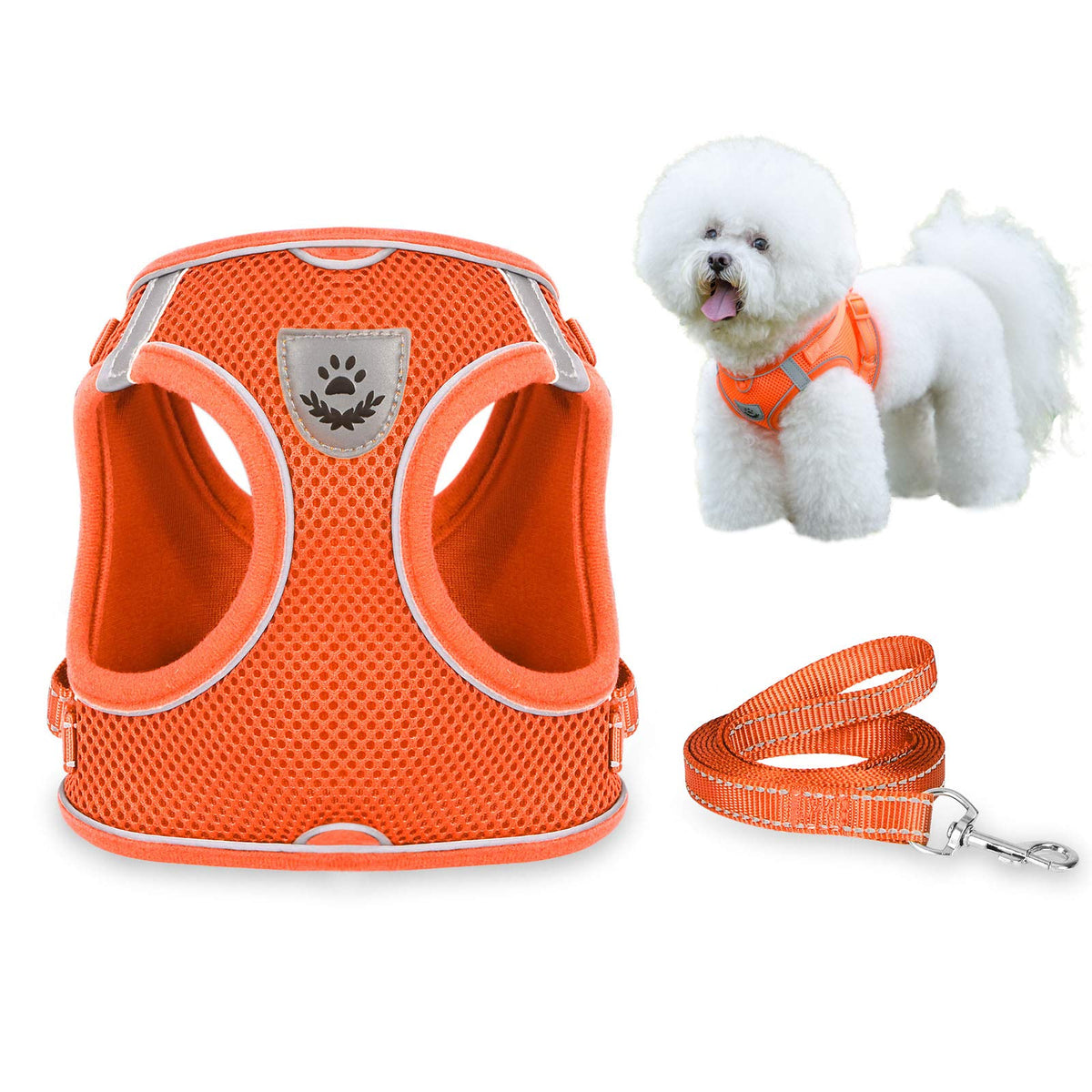 Dog Harness and Leash Set for Walking, Escape Proof Vest Harness with Soft Mesh, Adjustable Strap, Reflective Strips for Kitten Cats and Puppy Dogs