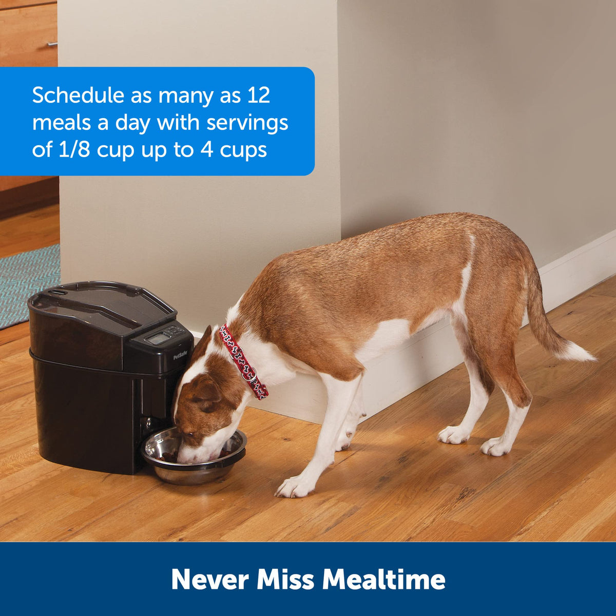 PetSafe Automatic Cat Feeder - Healthy Pet Simply Feed - Automatic Pet Feeder for Cats & Dogs - Timed Pet Feeder with Programmable Portion Control - Holds 24 Cups of Dry or Semi-Moist Dog or Cat Food