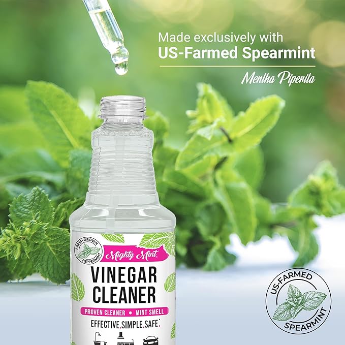 Mighty Mint Vinegar Cleaner, All-Purpose Spray, Spearmint Scent, 16oz (Pack of 2)