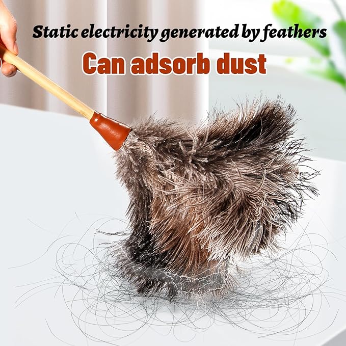 Natural Good Ostrich Feather Duster with Bamboo Handle, Electrostatic Dust Remove for Ceiling，Fans，Bookshelves, Sofa, Windows, Fit for Home, Office and Cars Duster Green
