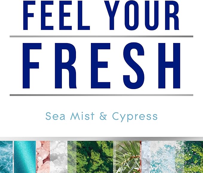 Glade PlugIns Refills Air Freshener, Sea Mist & Cypress, Scented and Essential Oils for Home and Bathroom, 0.67 Fl Oz, 10 Count