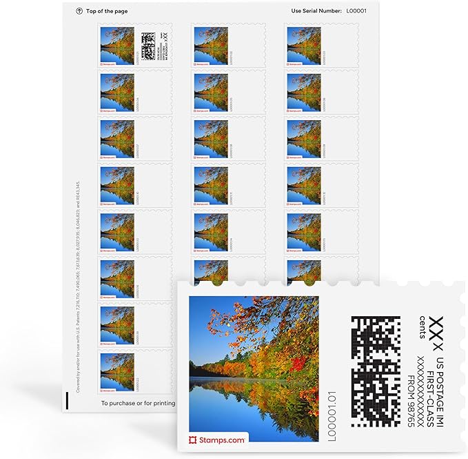 Fall River NetStamps 1200-Pack (50 Sheets) Printable Postage Labels (Stamps.com Subscription Required) - Print Approved Postage - Inkjet & Laser Printers - Business, Personal, Home