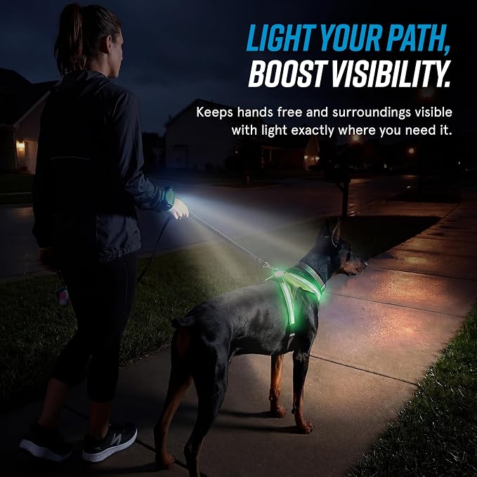 Noxgear LightHound (Small) + Wrist Light – Illuminated and Reflective Harness for Dogs Including Multicolored LED Fiber Optics (USB Rechargeable, Adjustable, Lightweight, Rainproof)