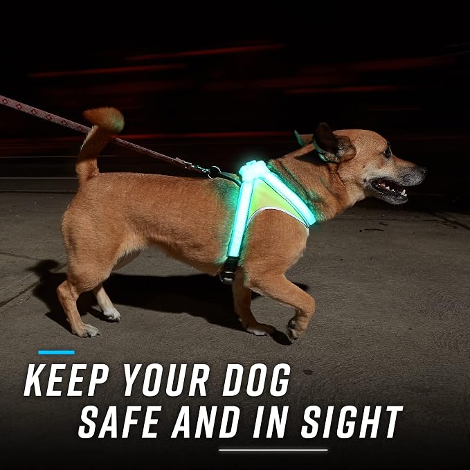 Noxgear LightHound (X-Large) + Wrist Light – Illuminated and Reflective Harness for Dogs Including Multicolored LED Fiber Optics (USB Rechargeable, Adjustable, Lightweight, Rainproof)