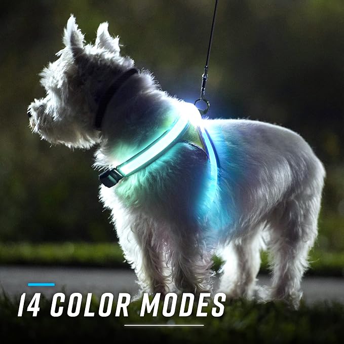 Noxgear LightHound (Small) + Wrist Light – Illuminated and Reflective Harness for Dogs Including Multicolored LED Fiber Optics (USB Rechargeable, Adjustable, Lightweight, Rainproof)